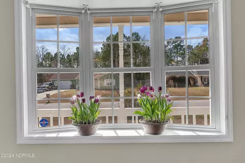 Bath - 115 Fox Den Dr, Hubert, NC 28539 photo 1 of 4