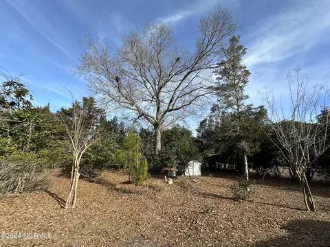 View/Area - 601 Cordgrass Rd, Hampstead, NC 28443 photo 2 of 2