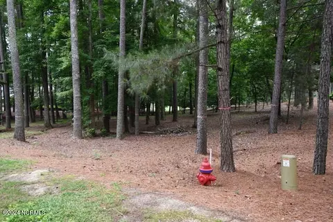 18 Mcmichael Dr, Pinehurst, NC 28374 photo 3