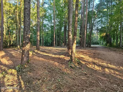 279 Mill Creek Ln, Bath, NC 27808 photo 3