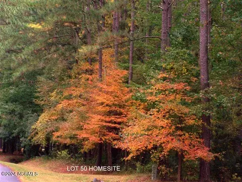 279 Mill Creek Ln, Bath, NC 27808 photo 12