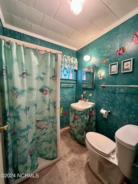 192 Emerald Ln, Roper, NC 27970 photo 8