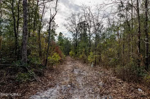 0 Andermora Rd, Maple Hill, NC 28454 photo 17