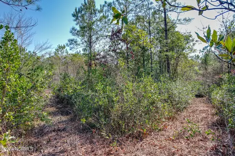 0 Andermora Rd, Maple Hill, NC 28454 photo 12