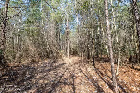 0 Andermora Rd, Maple Hill, NC 28454 photo 19