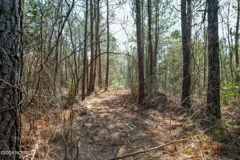 0 Andermora Rd, Maple Hill, NC 28454 photo 15