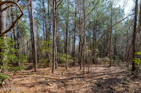 0 Andermora Rd, Maple Hill, NC 28454 photo 18