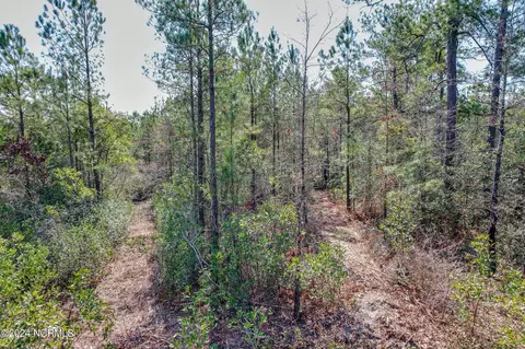 0 Andermora Rd, Maple Hill, NC 28454 photo 11