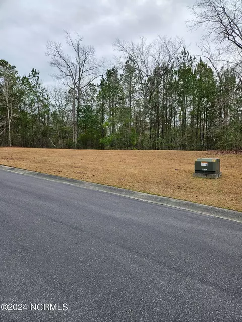 1131 Natal Dr SE, Bolivia, NC 28422