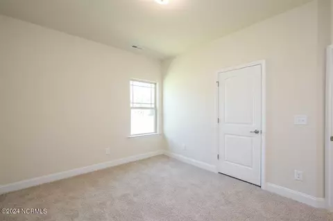 Other - 169 Firethorn Cir, Wallace, NC 28466 photo 7 of 7