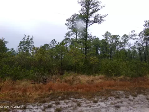 lot185 Hunters Rd, Boiling Spring Lakes, NC 28461