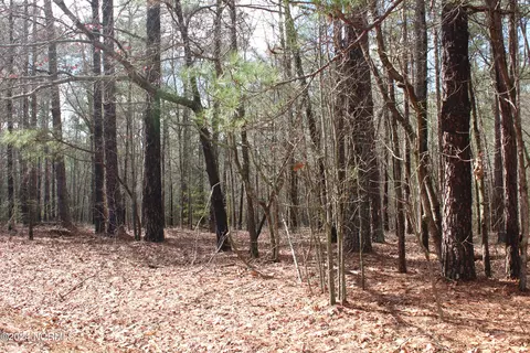 0 Edgewood Rd, Cameron, NC 28326