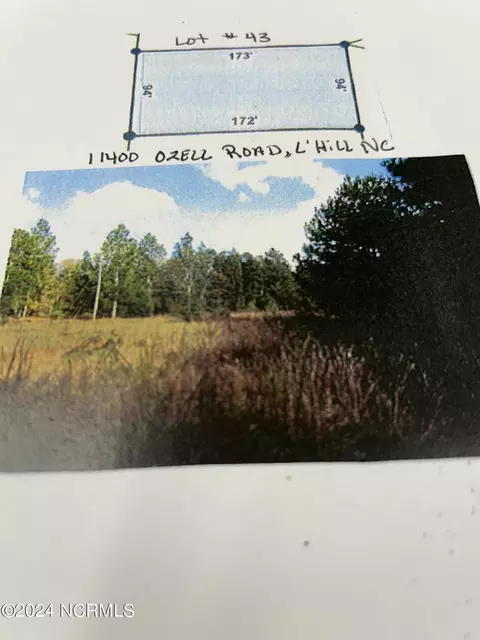 11400 Ozell Rd, Laurel Hill, NC 28351