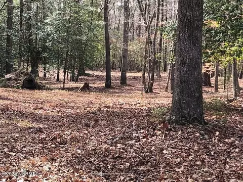 93 94 Waters Edge Dr, Chocowinity, NC 27817 photo 2