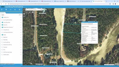 41 Loblolly Ct, Wagram, NC 28396