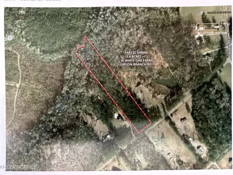 L18 Gibson Branch Road, Maysville, NC 28555