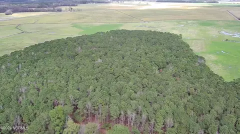 View/Area - 2720 Bowdens Rd, Faison, NC 28341 photo 3 of 5
