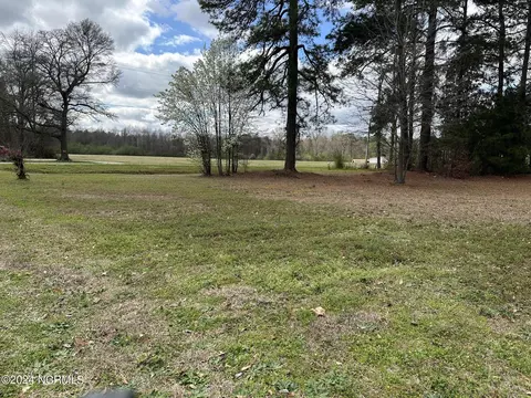 Exterior - 2720 Bowdens Rd, Faison, NC 28341 photo 4 of 7