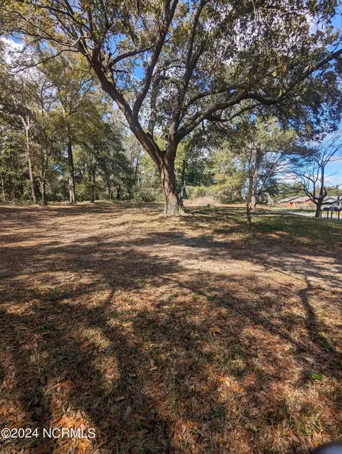 5308 Peden Point Rd, Wilmington, NC 28409