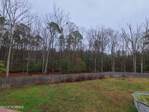 118 Harper Ln, Como, NC 27818 photo 16