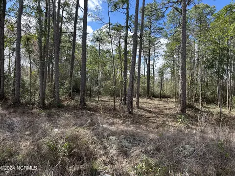 115 N High Point Rd, Boiling Spring Lakes, NC 28461