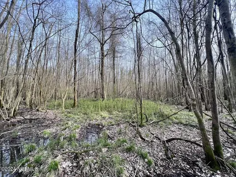 00 Dixon Rd, Chocowinity, NC 27817 photo 21