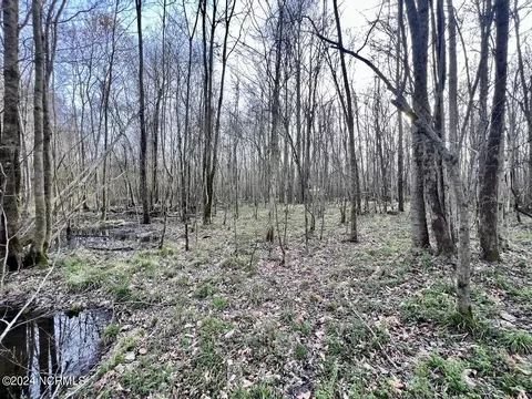 00 Dixon Rd, Chocowinity, NC 27817 photo 33