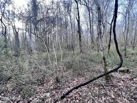 00 Dixon Rd, Chocowinity, NC 27817 photo 32