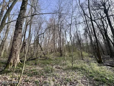 00 Dixon Rd, Chocowinity, NC 27817 photo 26