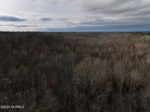 00 Dixon Rd, Chocowinity, NC 27817 photo 28