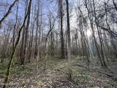 00 Dixon Rd, Chocowinity, NC 27817 photo 4