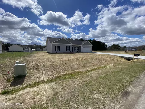 Exterior - 3017 Condor Ct, Deep Run, NC 28525 photo 6 of 11