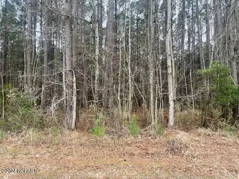 lot76 Mcgowan Rd, Bath, NC 27808 photo 1