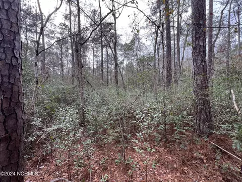 1079 N Windward Dr SW, Supply, NC 28462