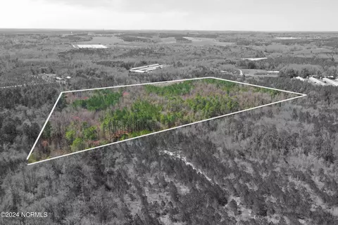 0 Thomas Farm Ln, Ellerbe, NC 28338