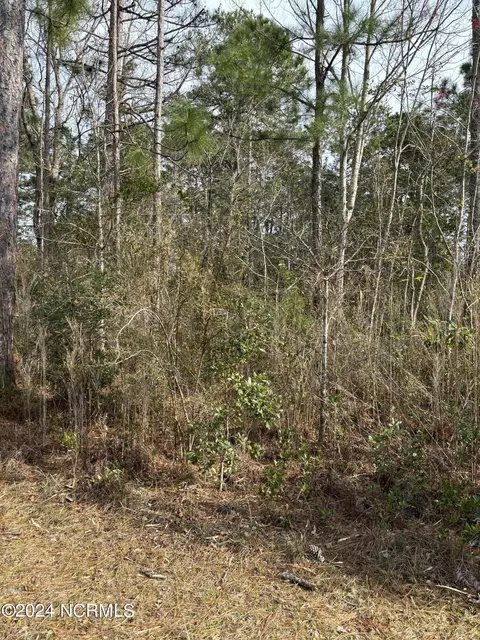 0 Woodcrest Rd, Boiling Spring Lakes, NC 28461