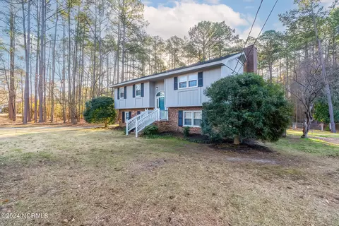 117 Hill St, Hamlet, NC 28345 photo 3