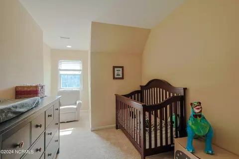 229 Mare Pond Pl, Hampstead, NC 28443 photo 51