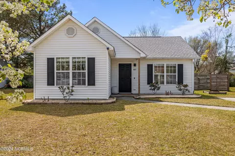 807 Autumn Leaves Ct, Wilmington, NC 28411