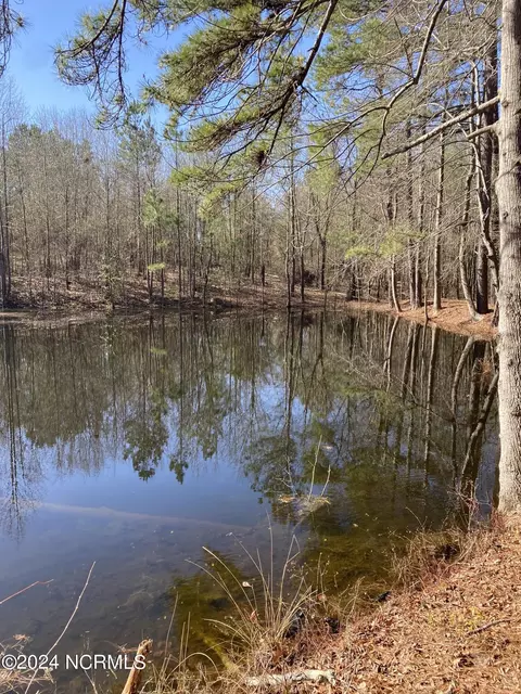 0 S Lakeview Dr, Rockingham, NC 28379