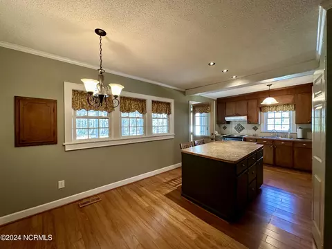 207 Old Us 17 N, Windsor, NC 27983 photo 7