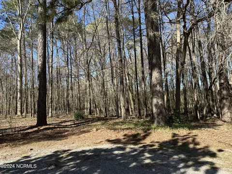 207 Old Us 17 N, Windsor, NC 27983 photo 30
