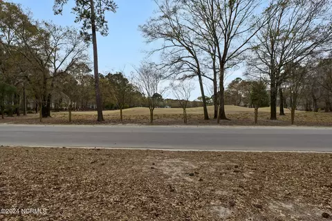 153 River Woods Dr, Wallace, NC 28466 photo 13