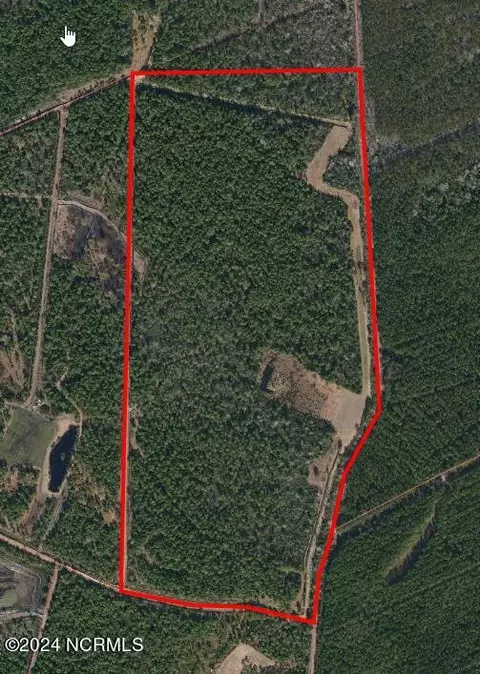 1300 Godwin Rd, Maple Hill, NC 28454