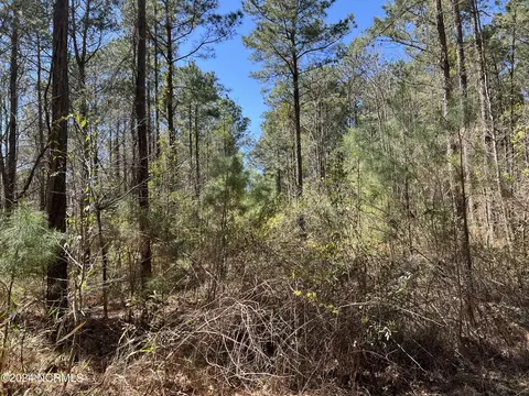lot Apt 0 Sr 1732, Bath, NC 27808 photo 3