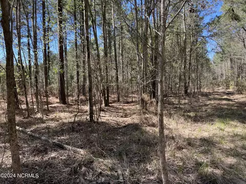 lot Apt 0 Sr 1732, Bath, NC 27808 photo 5