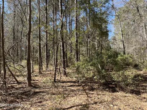 lot Apt 0 Sr 1732, Bath, NC 27808 photo 2