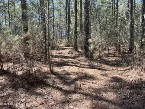lot Apt 0 Sr 1732, Bath, NC 27808 photo 6