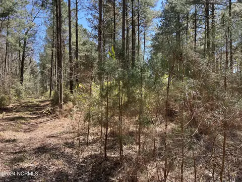 lot Apt 0 Sr 1732, Bath, NC 27808 photo 4