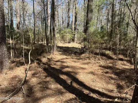 lot Apt 0 Sr 1732, Bath, NC 27808 photo 7